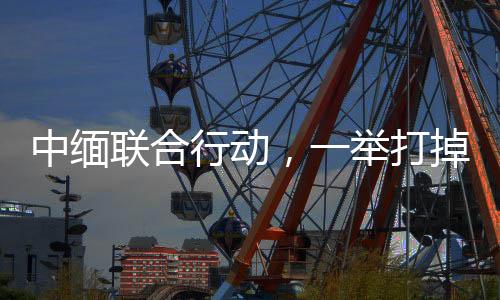 认真分析诈骗手法类型