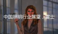 中国照明行业展望，雷士未来大有作为