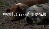 中国电工行业的重要布局
：人才布局和渠道开拓