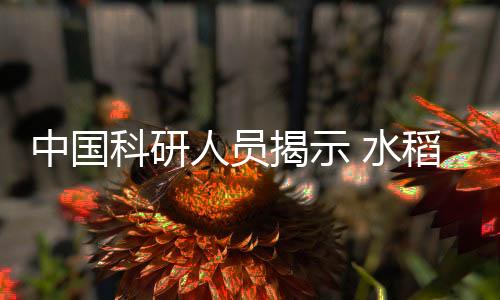 该团队将利用该研究成果
