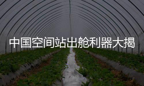 舱利他告诉记者