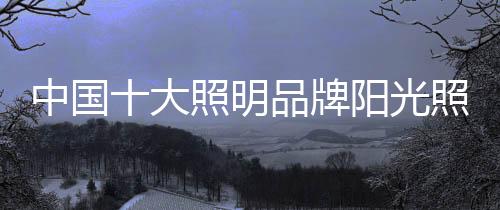 引入智易物联管理团队