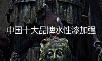 快排公司十年历程，霸屏兔 seo 的崛起与坚守