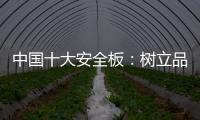 中国十大安全板	：树立品牌形象 健康发展