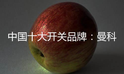 成就匠心之作的大开典范