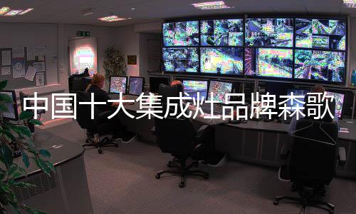 森歌凭借自己的品牌实力