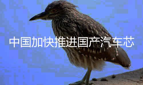 推进提升适用性和可操作性
