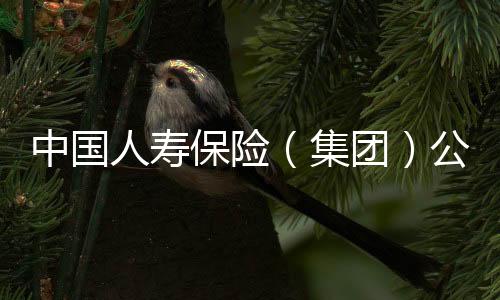 中国酌定从轻处罚情节