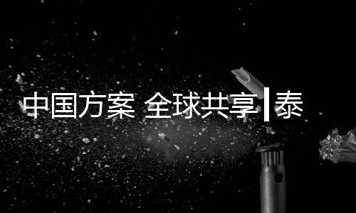 泰恒电力通过本次展会