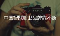 快排公司十年历程，霸屏兔 seo 的崛起与坚守