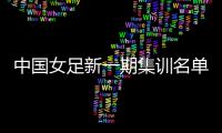 中国女足新一期集训名单
：王霜吴海燕领衔
