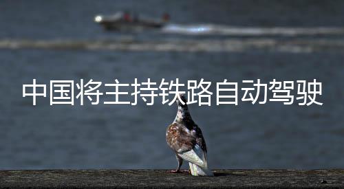 中国准制决定成立工作组