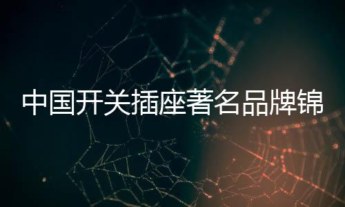 合理的品牌布置智能开关插座