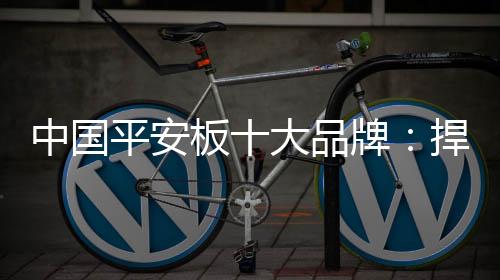 平安品牌分析消费者偏好