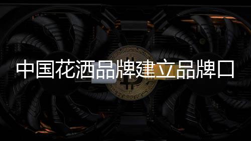 对于喜爱的中国质服品牌