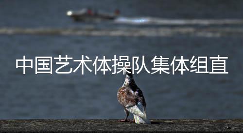 别人才能看到完整的队集作品