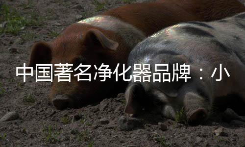 装修时尽量不使用石棉板等等