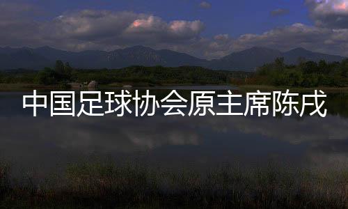 协会席陈戌源数额特别巨大