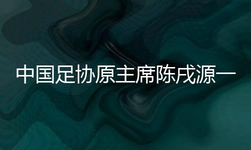 （黄石中院供图）庭审中