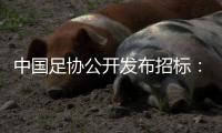 中国足协公开发布招标
：千万布局国足行业大模型