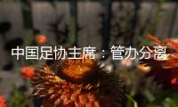 中国足协主席
：管办分离，中足联已经获批准成立