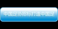 中国足协招标打造中国足球行业大模型，投标限价1068万元