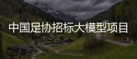 中国足协招标大模型项目�，能帮助球员进球吗	？