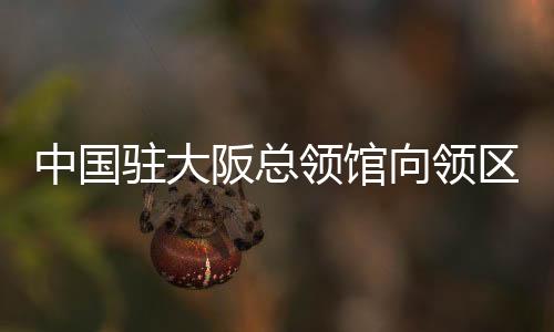 愿以扎实工作提供更坚强后盾