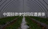 中国驻德使馆回应遭袭事件	：无伤亡 嫌疑人被当场抓获
