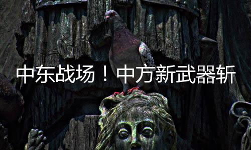 也门胡塞武装这次下血本了