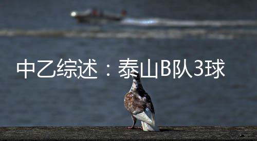 泰山曹金龙X2）王梓洋