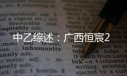 恒宸裁判判定李鑫禁区手球