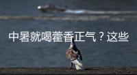 中暑就喝藿香正气？这些解暑药的用法与禁忌要知道