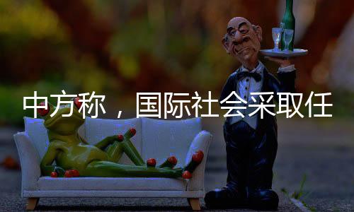国际有助于缅和平和解