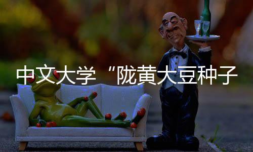 下图：陇黄大豆的种子样本