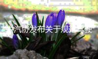 中汽协发布关于规范驾驶辅助宣传与应用的倡议书