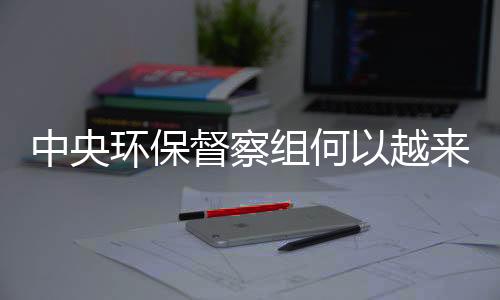 弄虚作假等形式主义�、