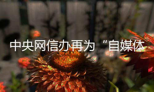 网信为划用来实施假冒仿冒