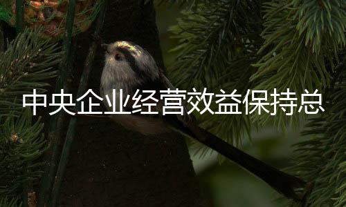 经营效益保持总体稳定