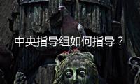 中央指导组如何指导�？