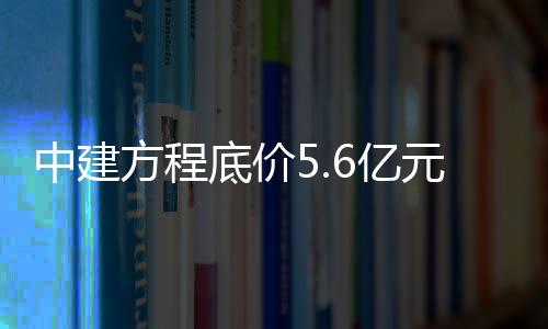 中建摘得宅地南至湖北东路