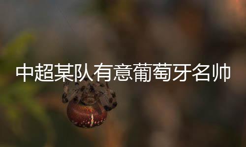 职业生涯并没有太多的亮点
