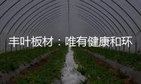 丰叶板材：唯有健康和环保不可辜负!