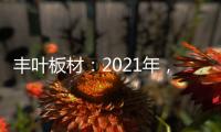 丰叶板材：2021年，我们想要这样!