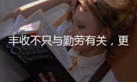 丰收不只与勤劳有关
，更与市场和风险相连丨记者手记