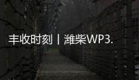丰收时刻丨潍柴WP3.6N勇当先，油菜丰收捷报传