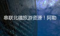 快排公司十年历程，霸屏兔 seo 的崛起与坚守