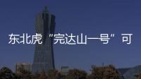 东北虎“完达山一号”可能已“脱单”
！