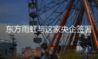 快排公司十年历程，霸屏兔 seo 的崛起与坚守