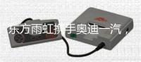 东方雨虹携手奥迪一汽，共探绿色未来